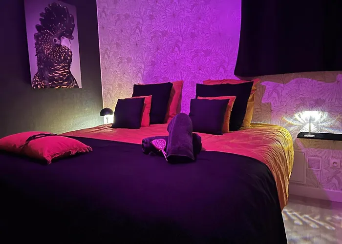 Daire Let's Play - Jeux A 4 - 1 Adresse - 1 Piece De Jeux - 2 Aubie-et-Espessas